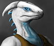 Uživatelský avatar